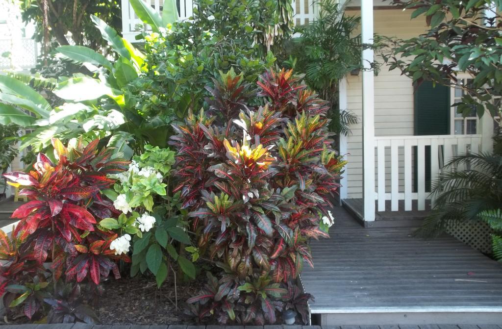 Duval House Bed & Breakfast คีย์เวสต์ ภายนอก รูปภาพ