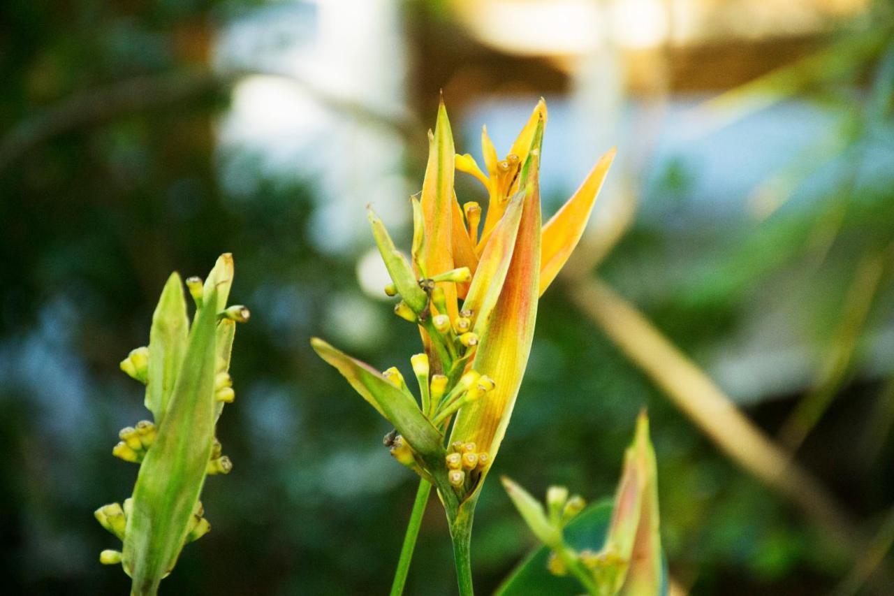 Duval House Bed & Breakfast คีย์เวสต์ ภายนอก รูปภาพ